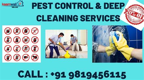 Deep Cleaning Service Pest Control Service Benefits Of Pest Control Youtube