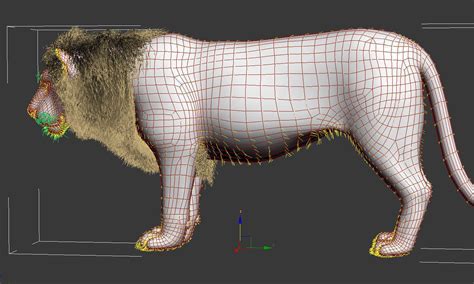 Lion animation 3D model animated rigged | CGTrader