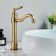 Rosdorf Park Antique Brass Mono Bathroom Basin Sink Mixer Taps 360