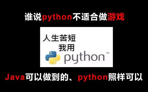 谁说python不适合做游戏，java可以做到的python照样可以哔哩哔哩bilibili