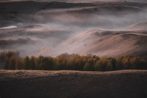 Hawke S Bay Te Mata Park Trust