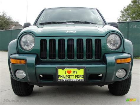 2004 Timberline Green Pearl Jeep Liberty Limited 46776595 Photo 9