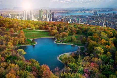 Tour Guiado De D A Completo Por La Ciudad De Montreal Viator