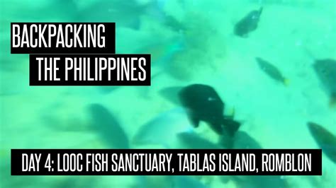 Looc Fish Sactuary Tablas Island Romblon Backpacking The Philippines