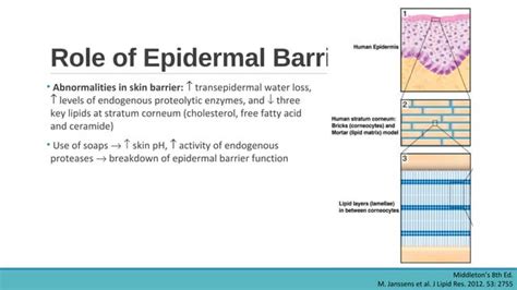 Atopic Dermatitis Ppt