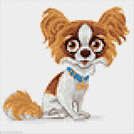 Wizardi kit diamant Papillon dog WIWD3023 Au Point Compté