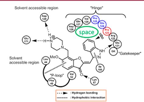 Figure From Design And Synthesis Of Potent And Selective Pim Kinase