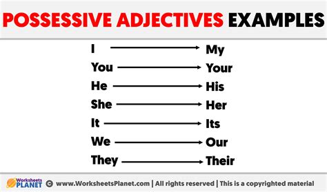 Possessive Adjectives Examples