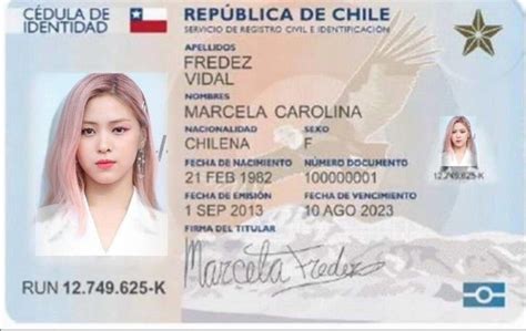 Carnet Falso Carnet De Identificacion Registro Civil Falso