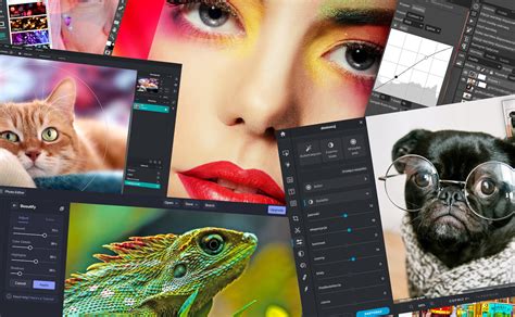 Programy Do Edycji Zdj Odline Najlepszych Darmowych