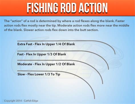 Catfish Rods: The Ultimate Guide To Catfish Rods