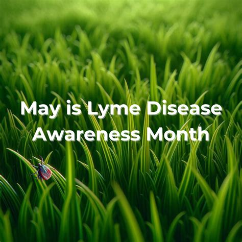 Lyme Disease Awareness Month Nicole Malachowski