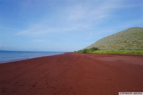 Galapagos tours & cruises - GalapagosInformation.com Blog