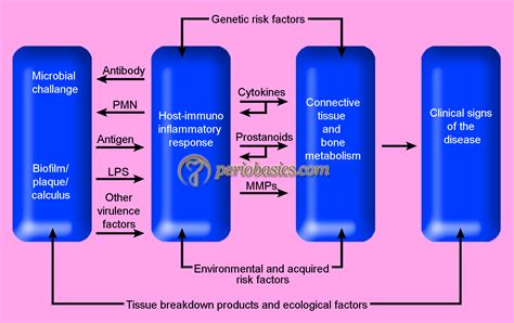 Host Modulation Therapy In Periodontics