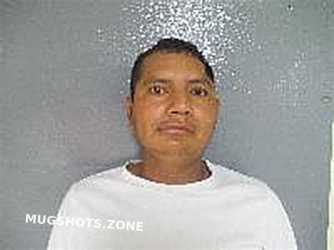 HERNANDEZ ALEJANDRO 06 12 2022 Van Buren County Mugshots Zone