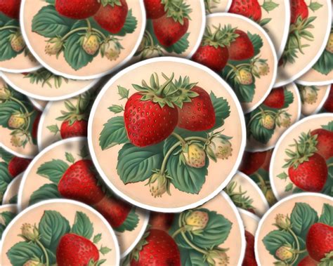 Strawberry Vinyl Decal For Strawberry Lover Decal Laptop Sticker Water