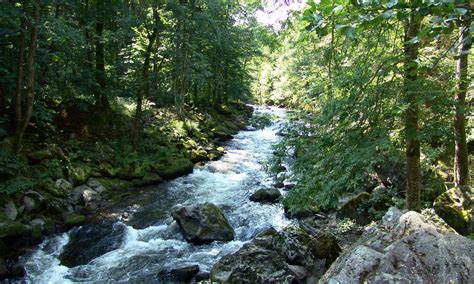 Region Hohenau Grafenau Nationalpark Bayerischer Wald Aktivurlaub