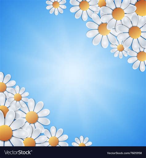 White flowers on blue background Royalty Free Vector Image