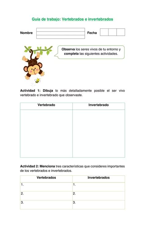 Calam O Trabajo De Ciencias Naturales Vertebrados E Invertebrados The