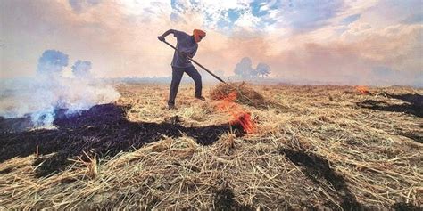 Absolute Defiance Sc Slams Punjab Haryana Over Stubble Burning