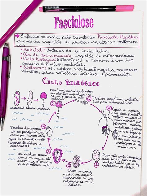 Mapa Mental Fascilolose Parasitologia Ideias Da Escola Sistema