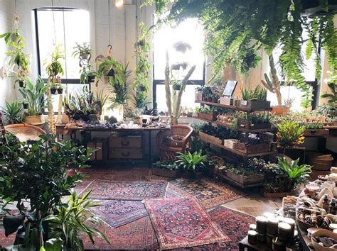 Saturdays Are For Plant Shopping Maybe Some Rugs And Crystals Too