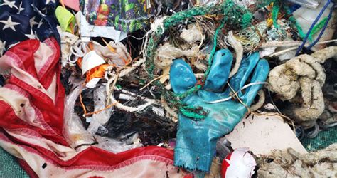 Marine Debris Report Fishers Island Conservancy