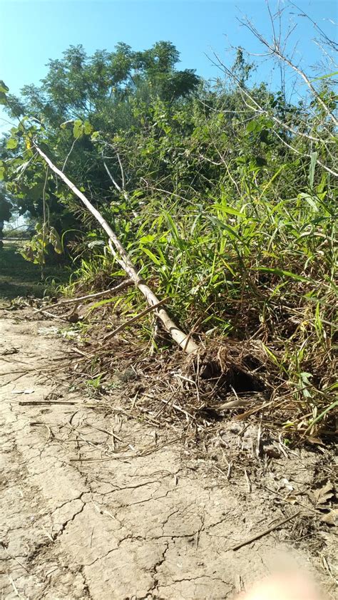 Asamblea por la Reserva on Twitter De hecho las obras que están en