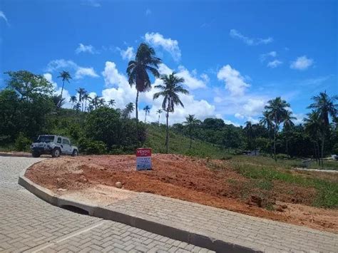 Vendo Terreno Em Maragogi M Terrenos S Tios E Fazendas