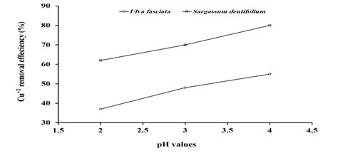 Removal Percentage Of Cu 2 Ions At Different PH Values By Ulva