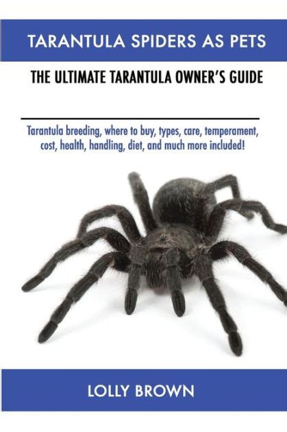 Tarantula Spiders As Pets Tarantula Breeding Where To Buy Types