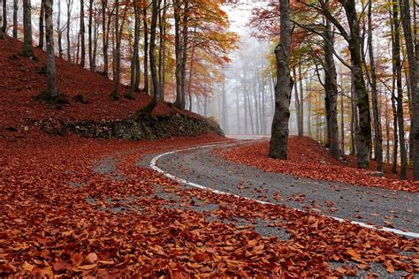 Lautunno In Abruzzo Ecco Dove Ammirare In Tutto Il Suo Splendore Il