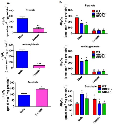 Antioxidants Free Full Text Sex Dependent Differences In The