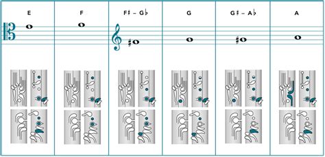 Notes And Fingerings Moving To Bassoon