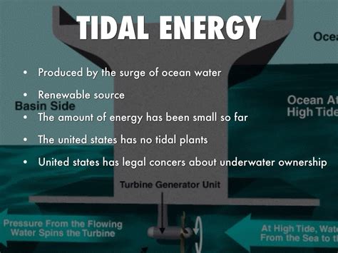 Waves And Tidal Energy By Emilie Dunn