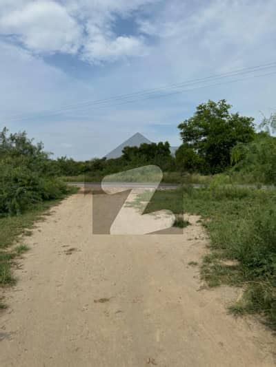 Agricultural Land And Agriculture Plots For Sale In Chakwal Zameen