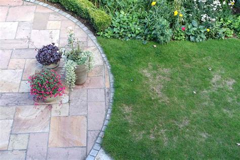 How To Repair Your Patchy Lawn Step By Step Plan Moowy