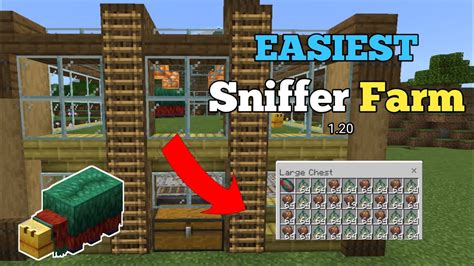 Simple 1 20 Sniffer Farm Tutorial In Minecraft Bedrock Mcpe Xbox Ps4 Nintendo Pc Youtube