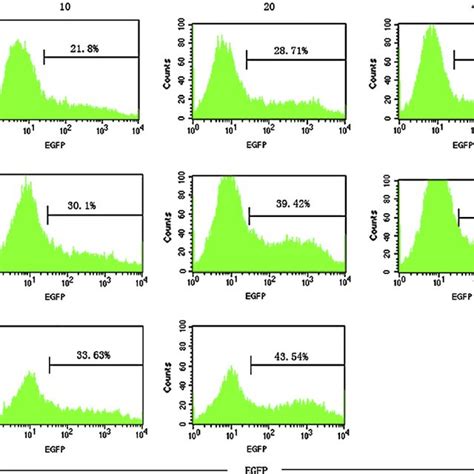 Transduction Of Neurons With The Egfp Expressing Lentivirus Vector