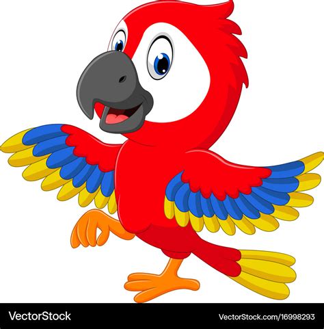 Cute Macaw Cartoon Royalty Free Vector Image VectorStock