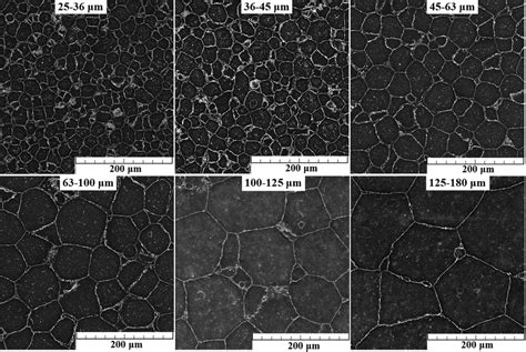 Microstructures Of The Materials Prepared From The Specific Fractions