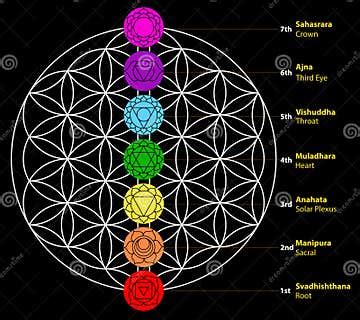 Seven Chakras Set of Seven Chakra Symbols with Names. this is Religion, Philosophy, and ...