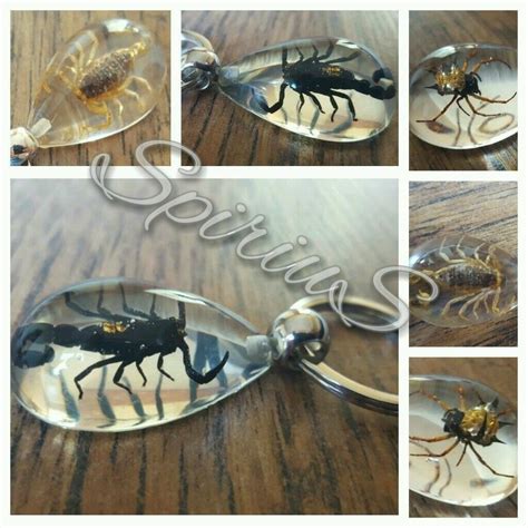 New Real Insect Key Ring Bug KeyChain Resin Scorpion Spiders Crab