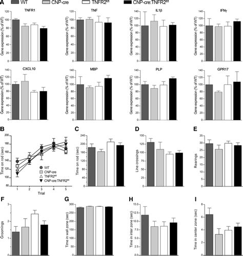 Ablation Of Oligodendroglial Tnfr Does Not Alter Basal Gene