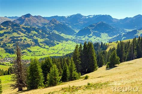 Fototapete Grüne Pflanzen in den Bergen nach Maß myredro de