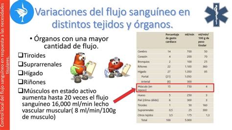 Capitulo Control Local Y Humoral Del Flujo Sangu Neo Por Los