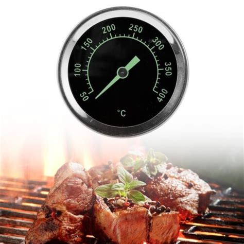 Thermom Tre De Barbecue En Acier Inoxydable Outil Essentiel Pour Les