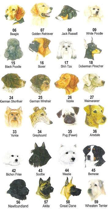 Alphabetical List Of Dog Breeds Printable