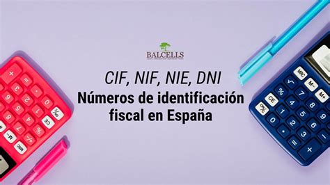 CIF y NIF Qué es cada uno y diferencias