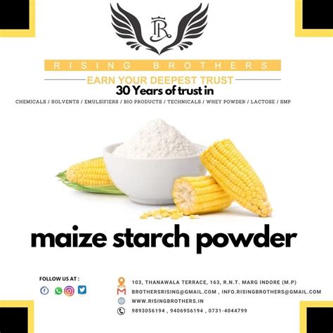 Indian Maize Starch Powder For Industrial Organic At Kg In Indore